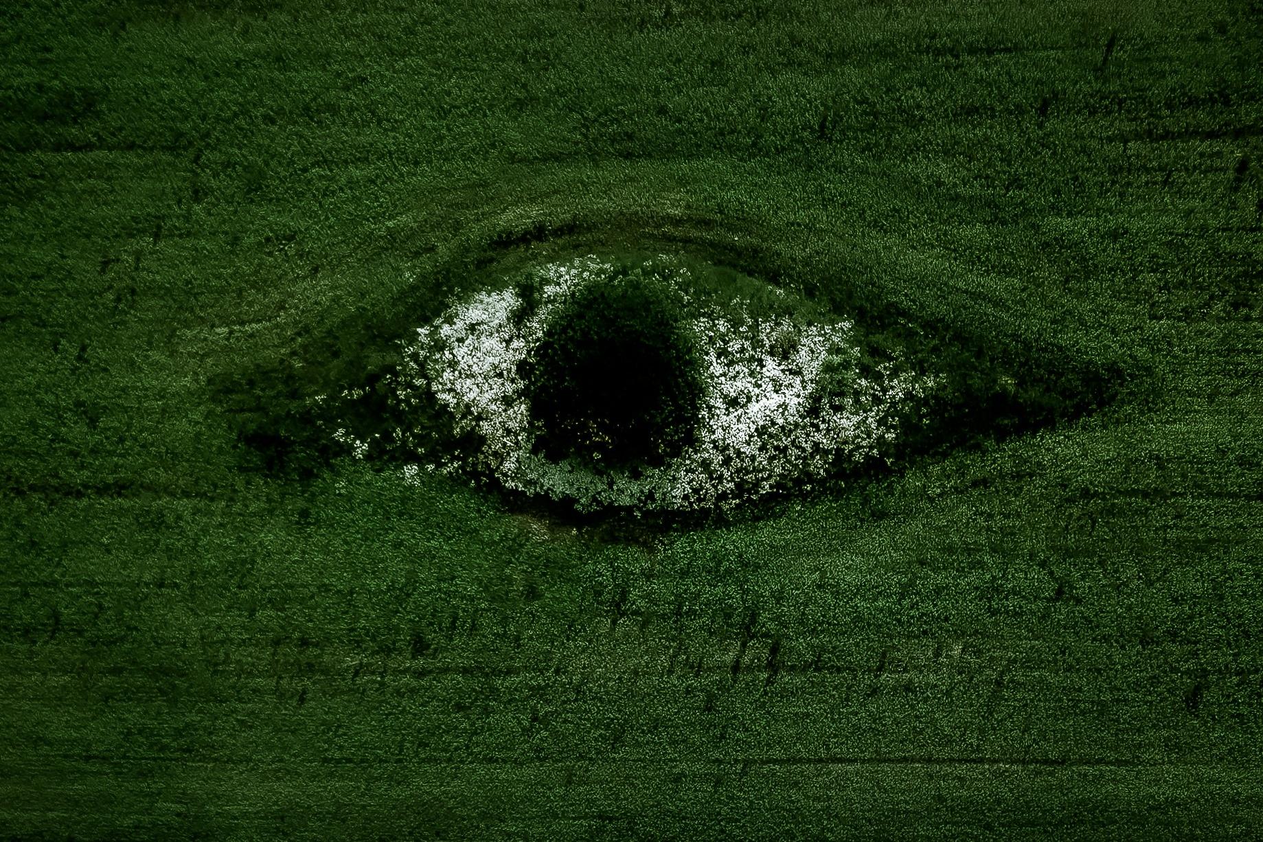 聚苯乙烯廢棄物回收：從污染到循環(huán)解決方案，EPS壓實機(jī)